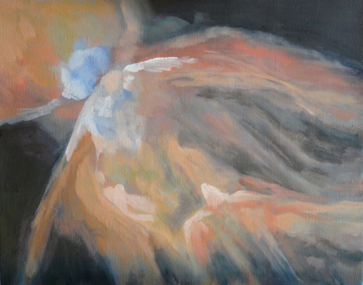 Click here to view Flight! (Hubble Series 3) by Jerome Schwartz