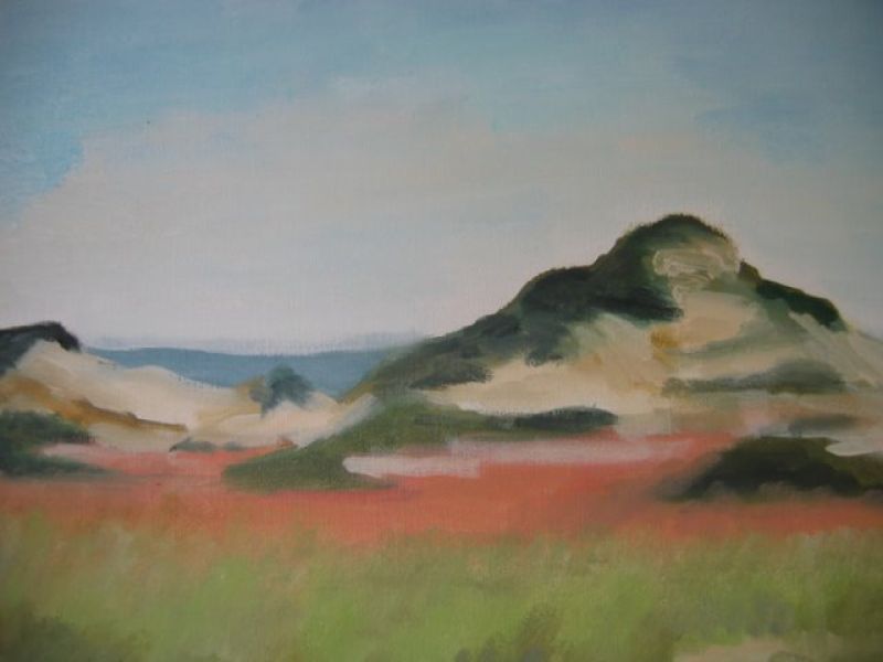 Click here to view Provincelands Dunes II by Jerome Schwartz