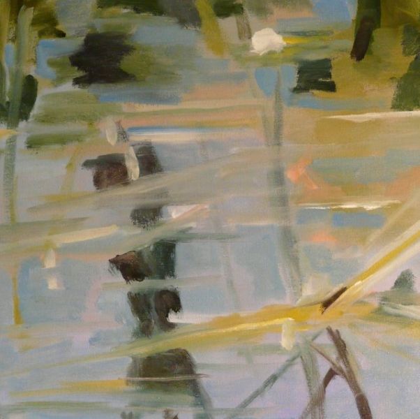 Click here to view Black Pond Abstraction II by Jerome Schwartz